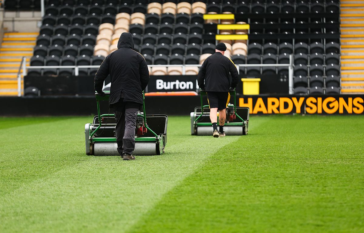 BurtonAlbion_Dennis_0012.jpg